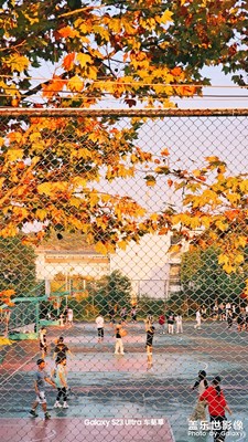 【賞秋正當時】秋日校園