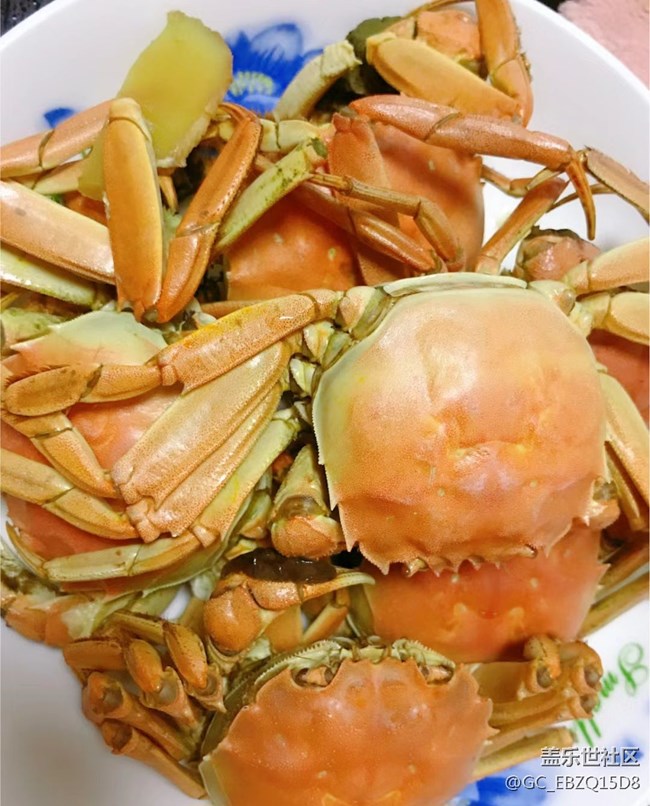 【菊香蟹肥】蒸蟹