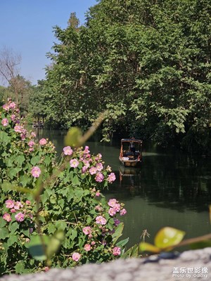 秋天?杭州花圃