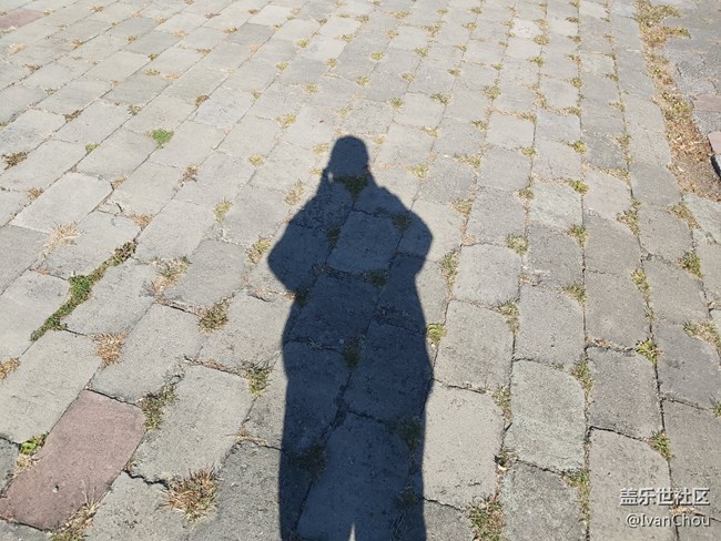 【金龍山賞秋攝影行】東北的秋果然獨(dú)有韻味