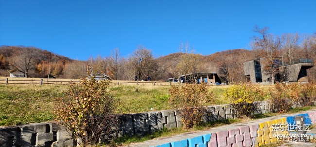【金龍山賞秋攝影行】我抓住了秋天的尾巴