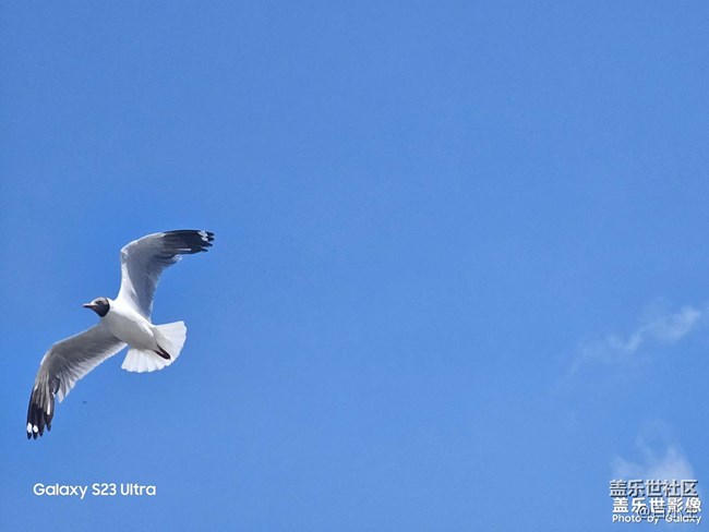 《精品大咖秀》 第二十期：九九重陽