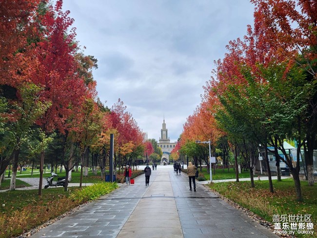 《精品大咖秀》 第二十期：九九重陽