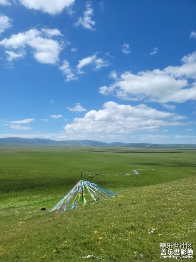 《精品大咖秀》 第二十期：九九重陽