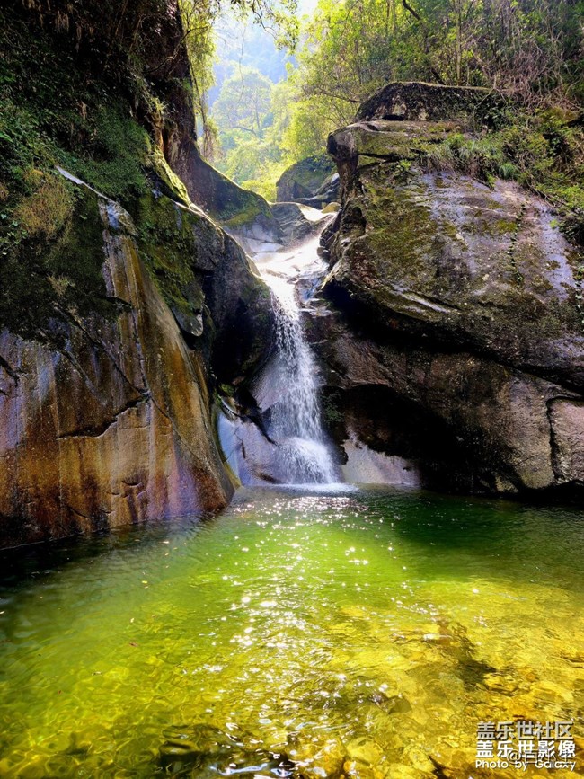 《精品大咖秀》 第二十期：九九重陽