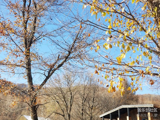 【金龍山賞秋攝影行】尋秋日清風(fēng)之行