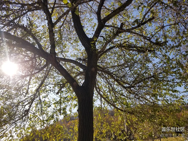 【金龍山賞秋攝影行】尋秋日清風(fēng)之行