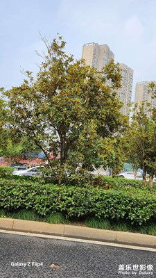 秋天要結(jié)束啦