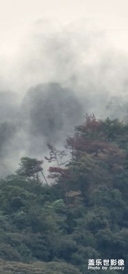 畫