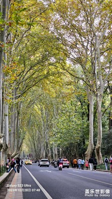 陵園路