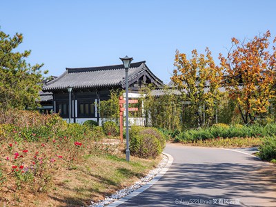 已開獎【蓋樂世影像周賽第316期】——影像的魅力