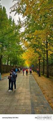 10.29 圓明園