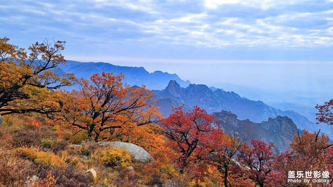 《精品大咖秀》 第二十一期：金秋運(yùn)動(dòng)會(huì)開始了