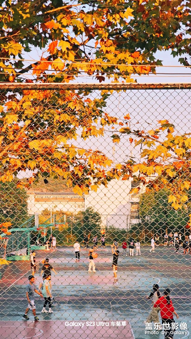 《精品大咖秀》 第二十一期：金秋運(yùn)動(dòng)會(huì)開始了