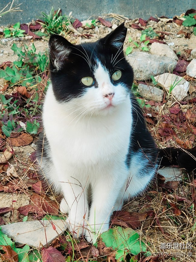 北京星部落10月線下活動——三星手機拍古建