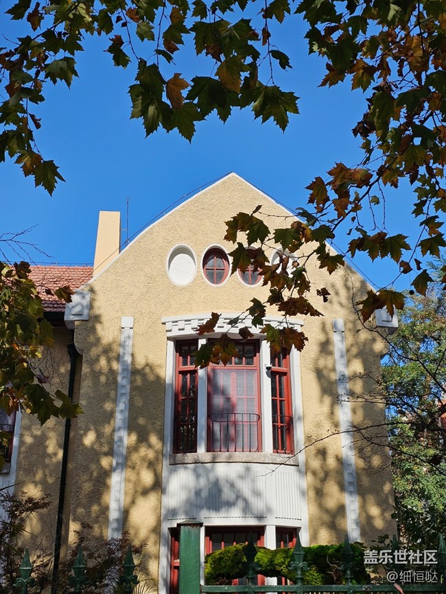 青島星部落10月28日交流會活動回顧 青島星部落10月28日交流會活動回顧