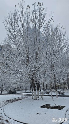 【精彩瞬間】

下雪了