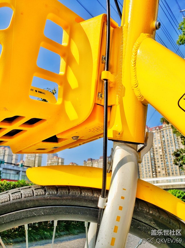 【環(huán)保小衛(wèi)士】+公共自行車