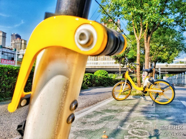 【環(huán)保小衛(wèi)士】+公共自行車