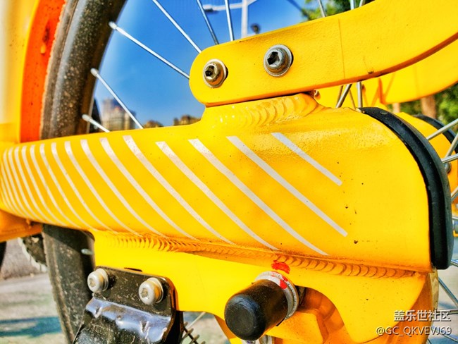 【環(huán)保小衛(wèi)士】+公共自行車