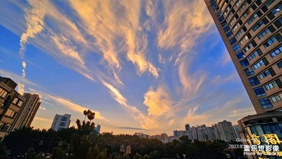 周末隨手拍