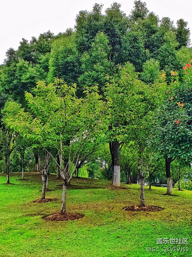 【環(huán)保小衛(wèi)士】+青山綠水