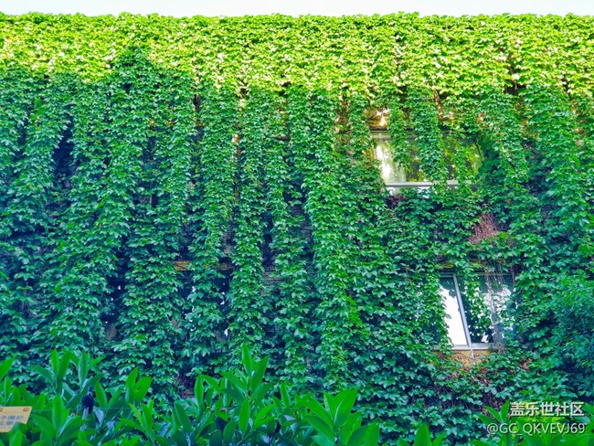 【環(huán)保小衛(wèi)士】+青山綠水