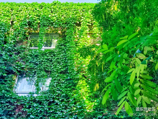 【環(huán)保小衛(wèi)士】+青山綠水