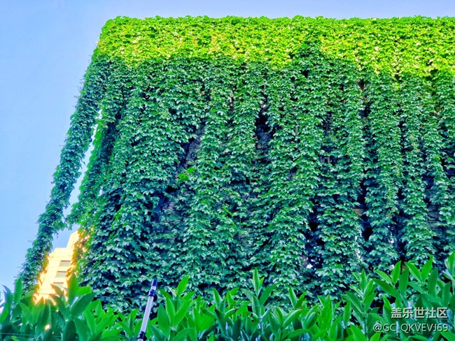 【環(huán)保小衛(wèi)士】+青山綠水