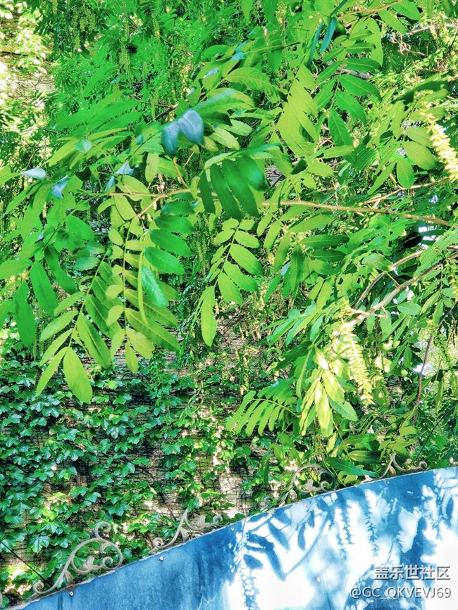 【環(huán)保小衛(wèi)士】+青山綠水