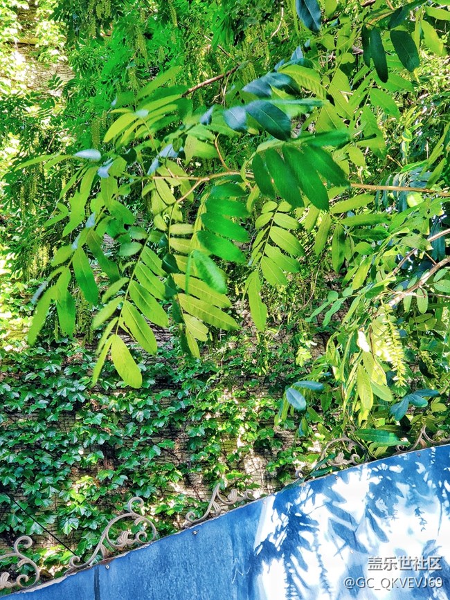 【環(huán)保小衛(wèi)士】+青山綠水