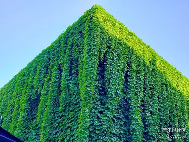 【環(huán)保小衛(wèi)士】+青山綠水