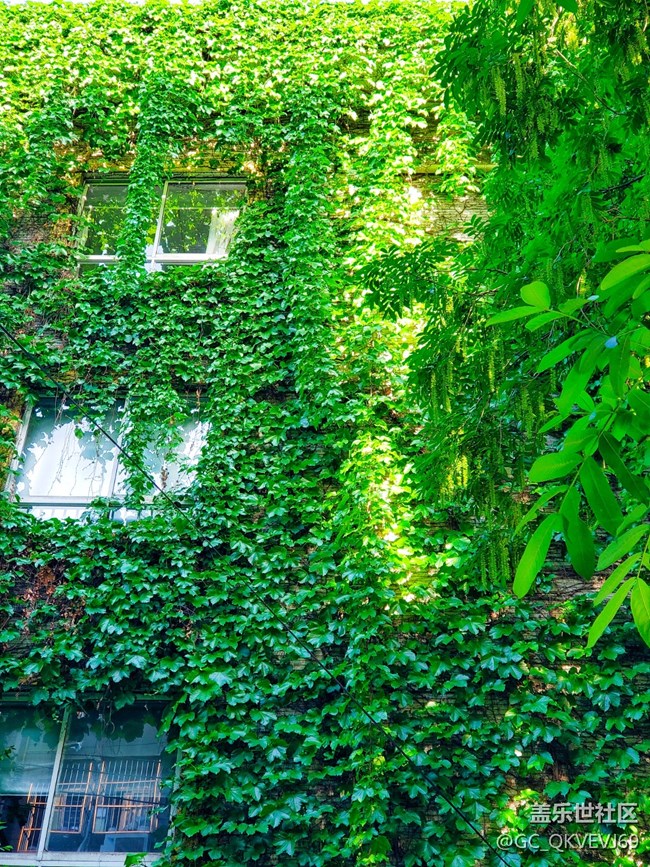 【環(huán)保小衛(wèi)士】+青山綠水