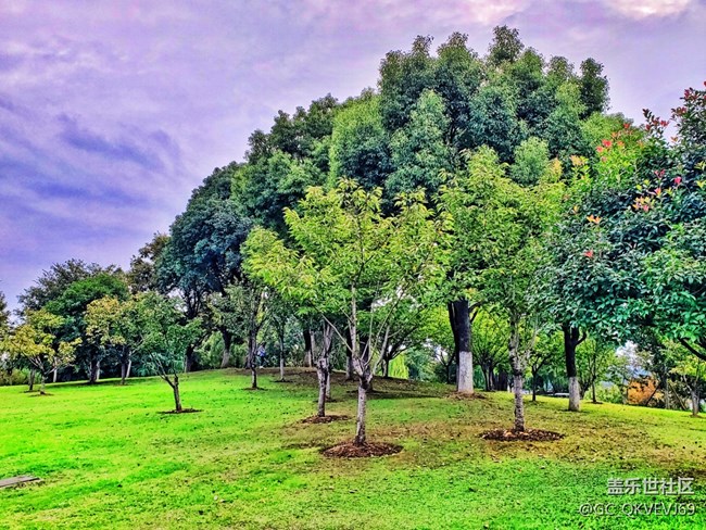 【環(huán)保小衛(wèi)士】+青山綠水