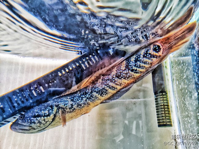 【環(huán)保小衛(wèi)士】+使地球充滿生機