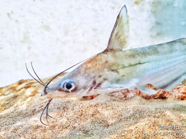 【環(huán)保小衛(wèi)士】+使地球充滿生機