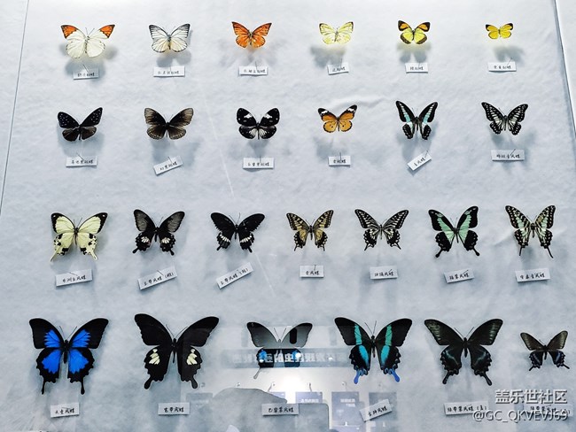 【環(huán)保小衛(wèi)士】+使地球充滿生機