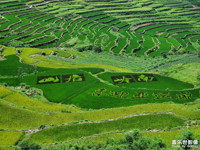 《精品大咖秀》 第二十一期:冬季美食進(jìn)補(bǔ) 《精品大咖秀》 第二十一期:冬季美食進(jìn)補(bǔ)