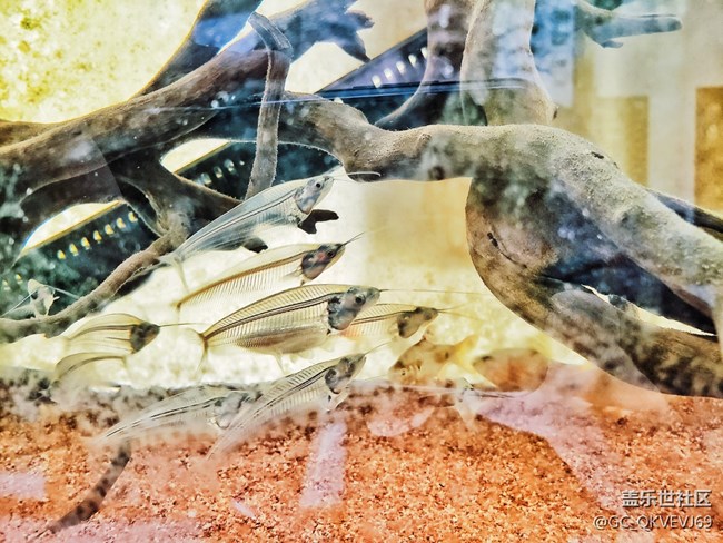 【環(huán)保小衛(wèi)士】+使地球充滿生機