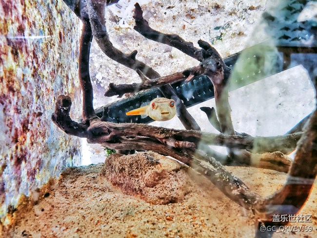 【環(huán)保小衛(wèi)士】+使地球充滿生機