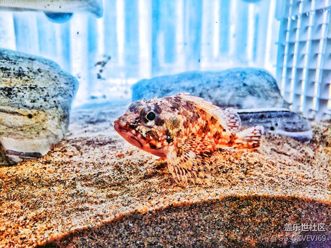 【環(huán)保小衛(wèi)士】+使地球充滿生機