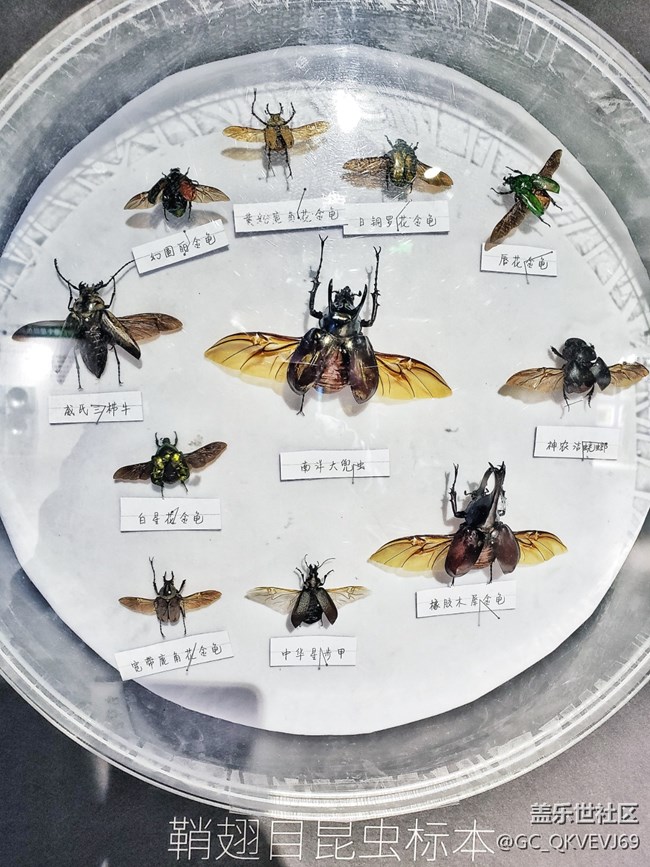 【環(huán)保小衛(wèi)士】+使地球充滿生機