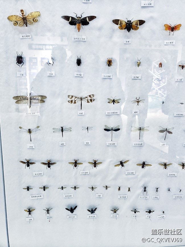 【環(huán)保小衛(wèi)士】+使地球充滿生機