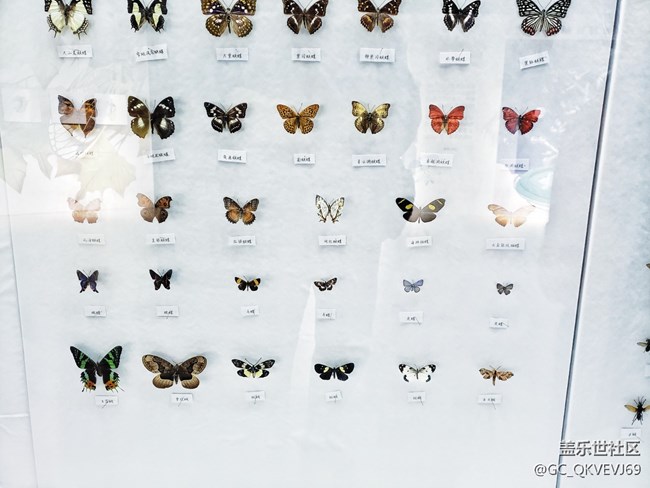 【環(huán)保小衛(wèi)士】+使地球充滿生機