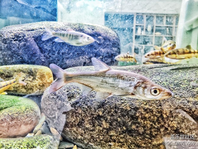 【環(huán)保小衛(wèi)士】+使地球充滿生機