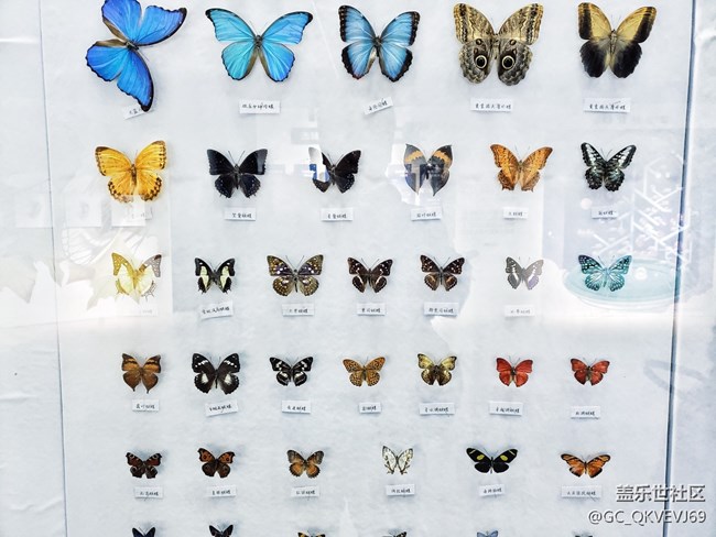 【環(huán)保小衛(wèi)士】+使地球充滿生機