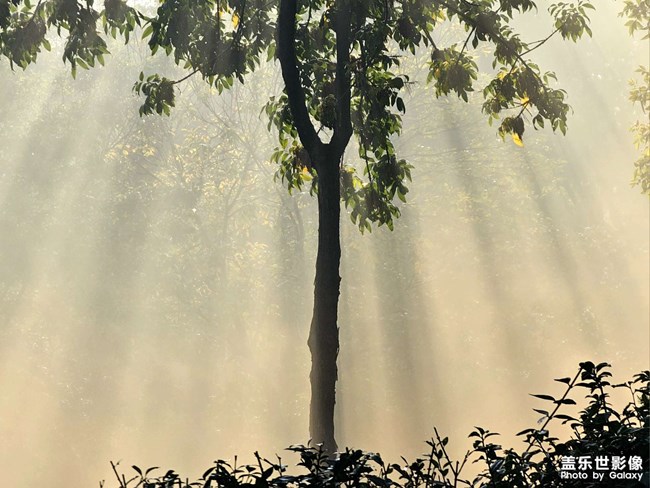 《精品大咖秀》 第二十一期:冬季美食進(jìn)補(bǔ) 《精品大咖秀》 第二十一期:冬季美食進(jìn)補(bǔ)