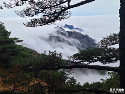 【一鏡一世界】黃山隨拍