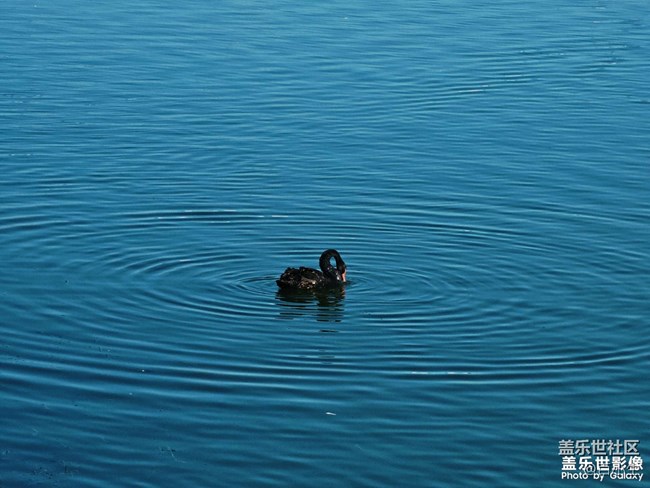 《精品大咖秀》 第二十四期：三星手機使用大全