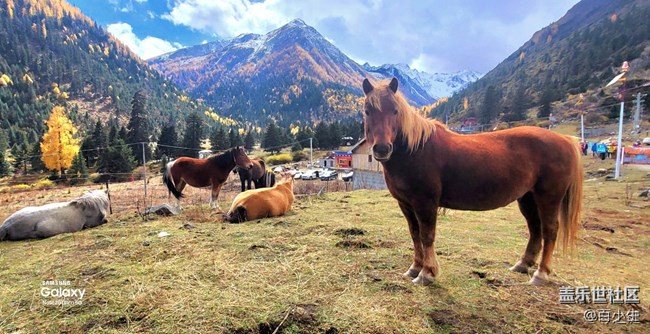 《精品大咖秀》 第二十四期：三星手機使用大全